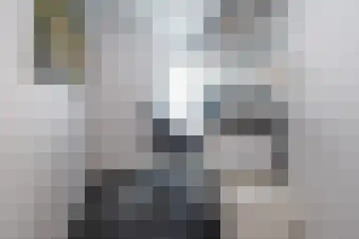 Wilhelminastraat 41 Barneveld thumbnail 17