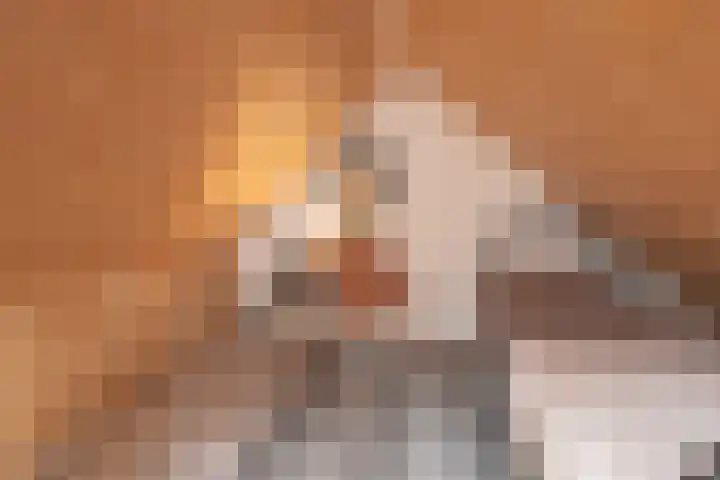 Wilhelminastraat 41 Barneveld thumbnail 34