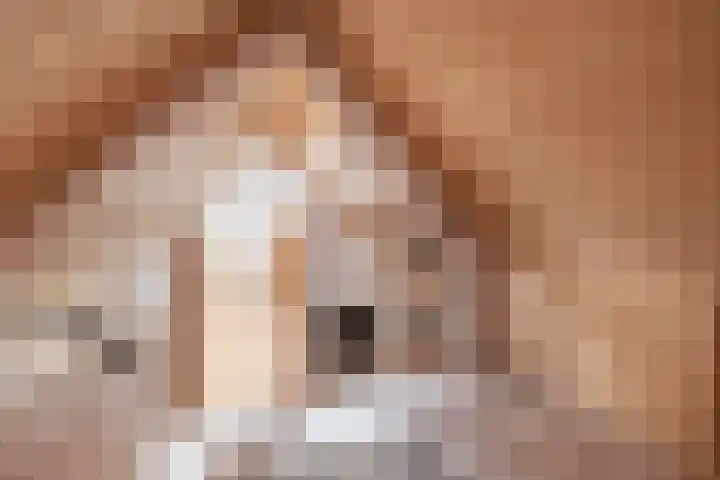 Wilhelminastraat 41 Barneveld thumbnail 35