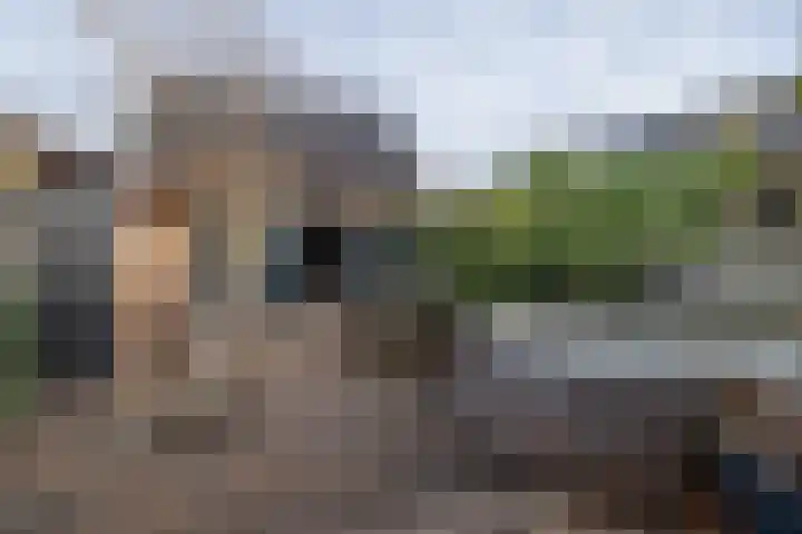 Wilhelminastraat 41 Barneveld thumbnail 39