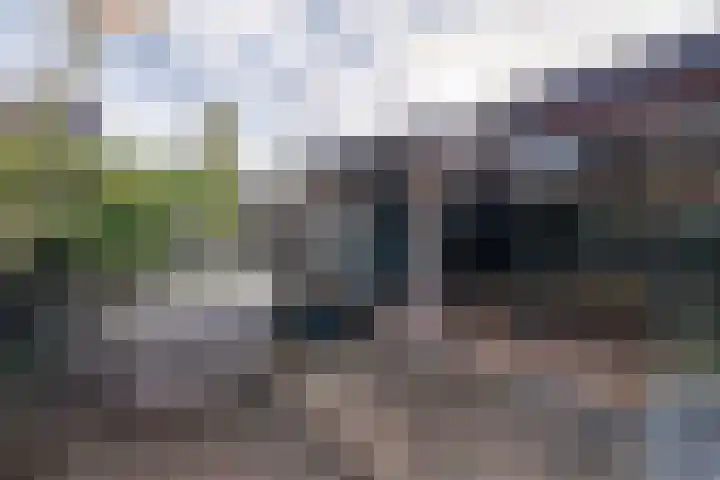 Wilhelminastraat 41 Barneveld thumbnail 41