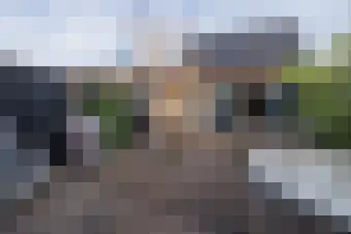 Wilhelminastraat 41 Barneveld thumbnail 42