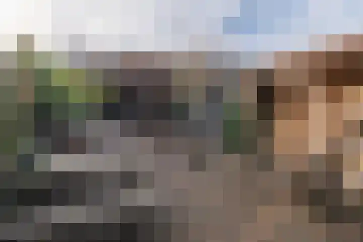 Wilhelminastraat 41 Barneveld thumbnail 46