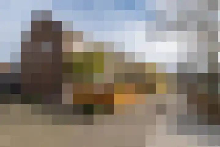 Wilhelminastraat 41 Barneveld thumbnail 50
