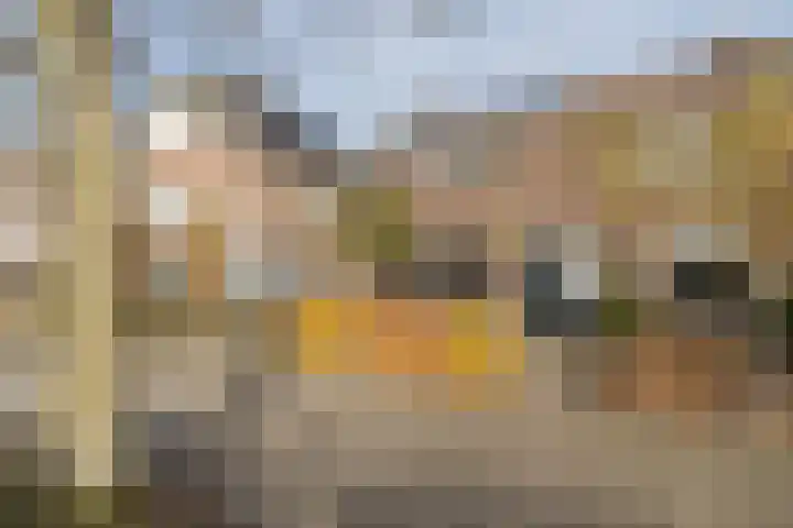 Wilhelminastraat 41 Barneveld thumbnail 53