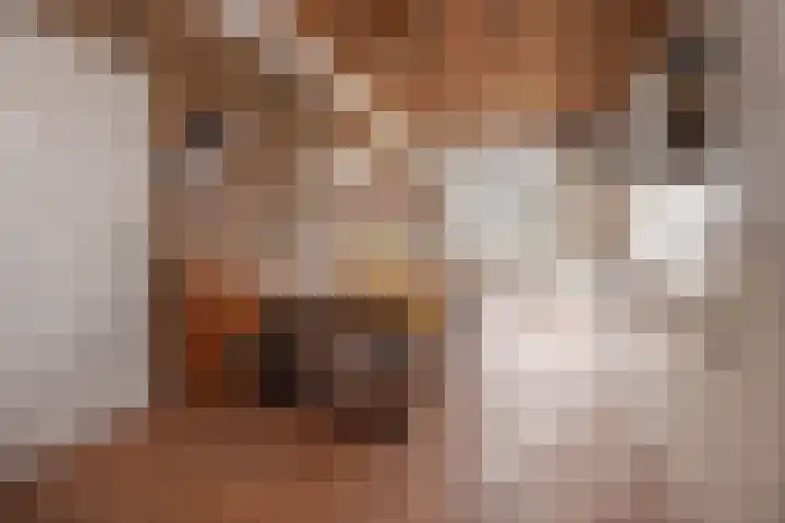 Wilhelminastraat 41 Barneveld thumbnail 8