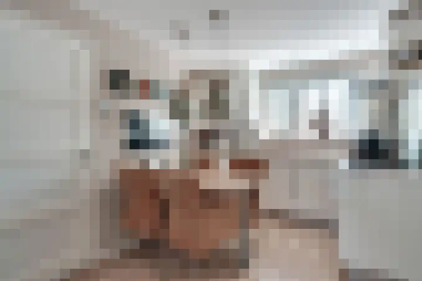 Wilhelminastraat 41 Nijverdal thumbnail 8