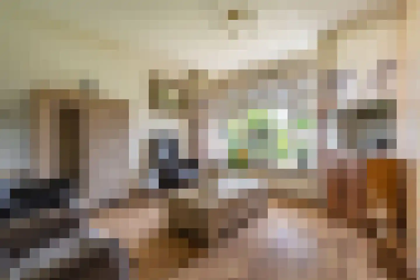 Wilhelminastraat 41 Vlagtwedde thumbnail 11