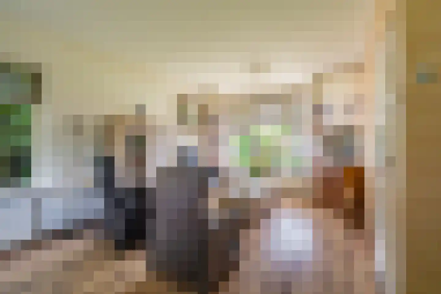 Wilhelminastraat 41 Vlagtwedde thumbnail 13