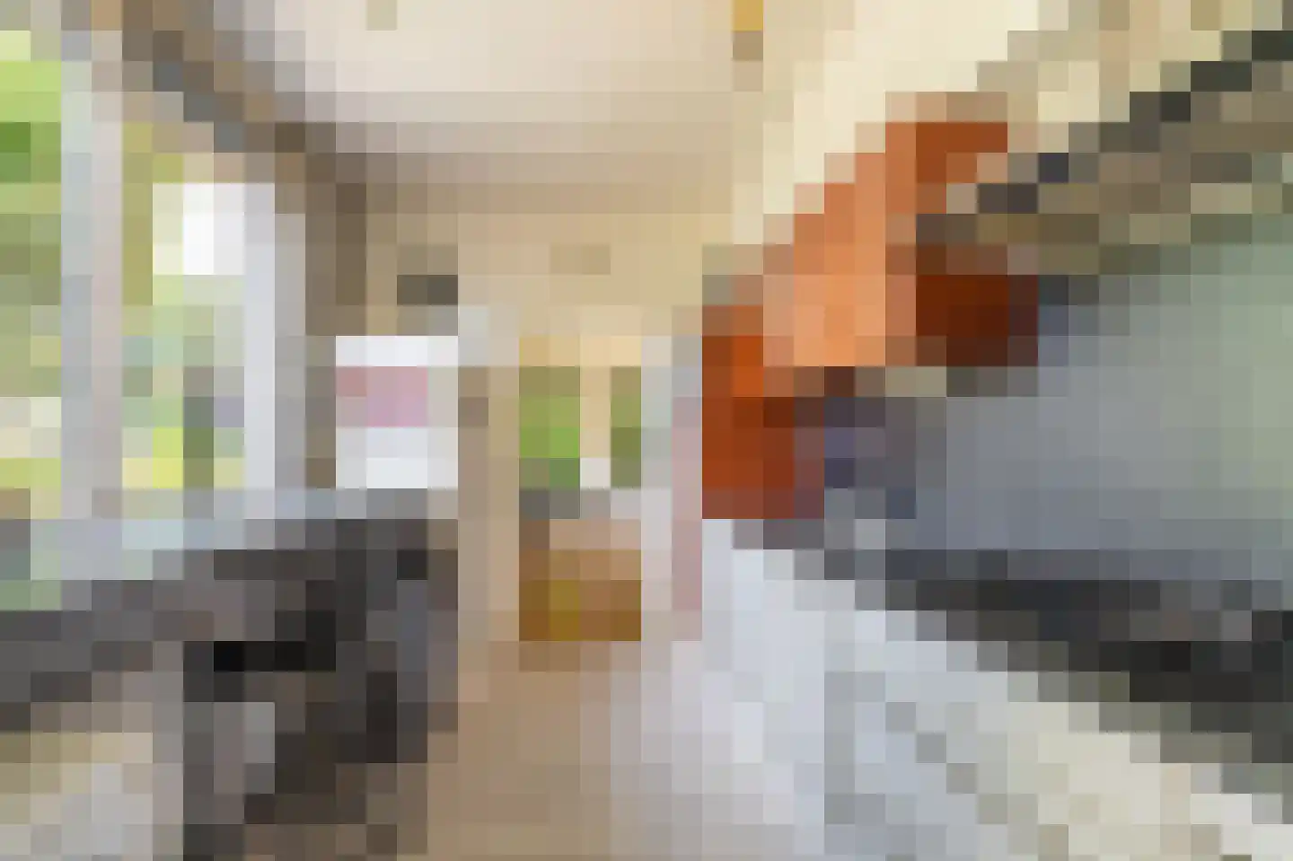 Wilhelminastraat 41 Vlagtwedde thumbnail 17