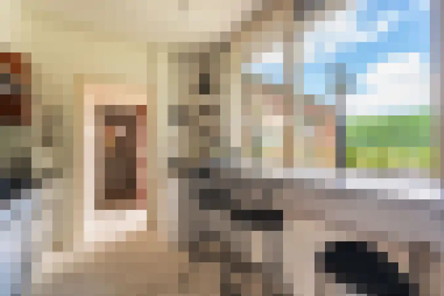 Wilhelminastraat 41 Vlagtwedde thumbnail 19