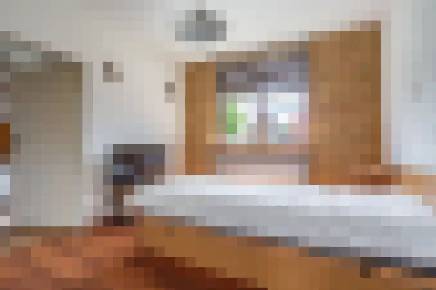 Wilhelminastraat 41 Vlagtwedde thumbnail 21