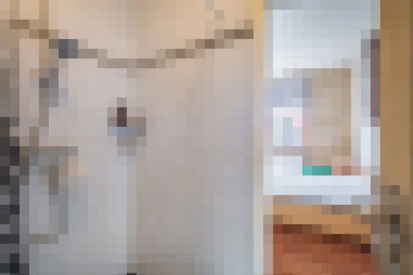 Wilhelminastraat 41 Vlagtwedde thumbnail 24