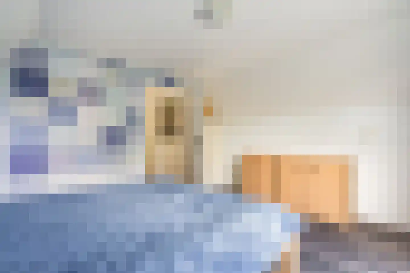 Wilhelminastraat 41 Vlagtwedde thumbnail 34