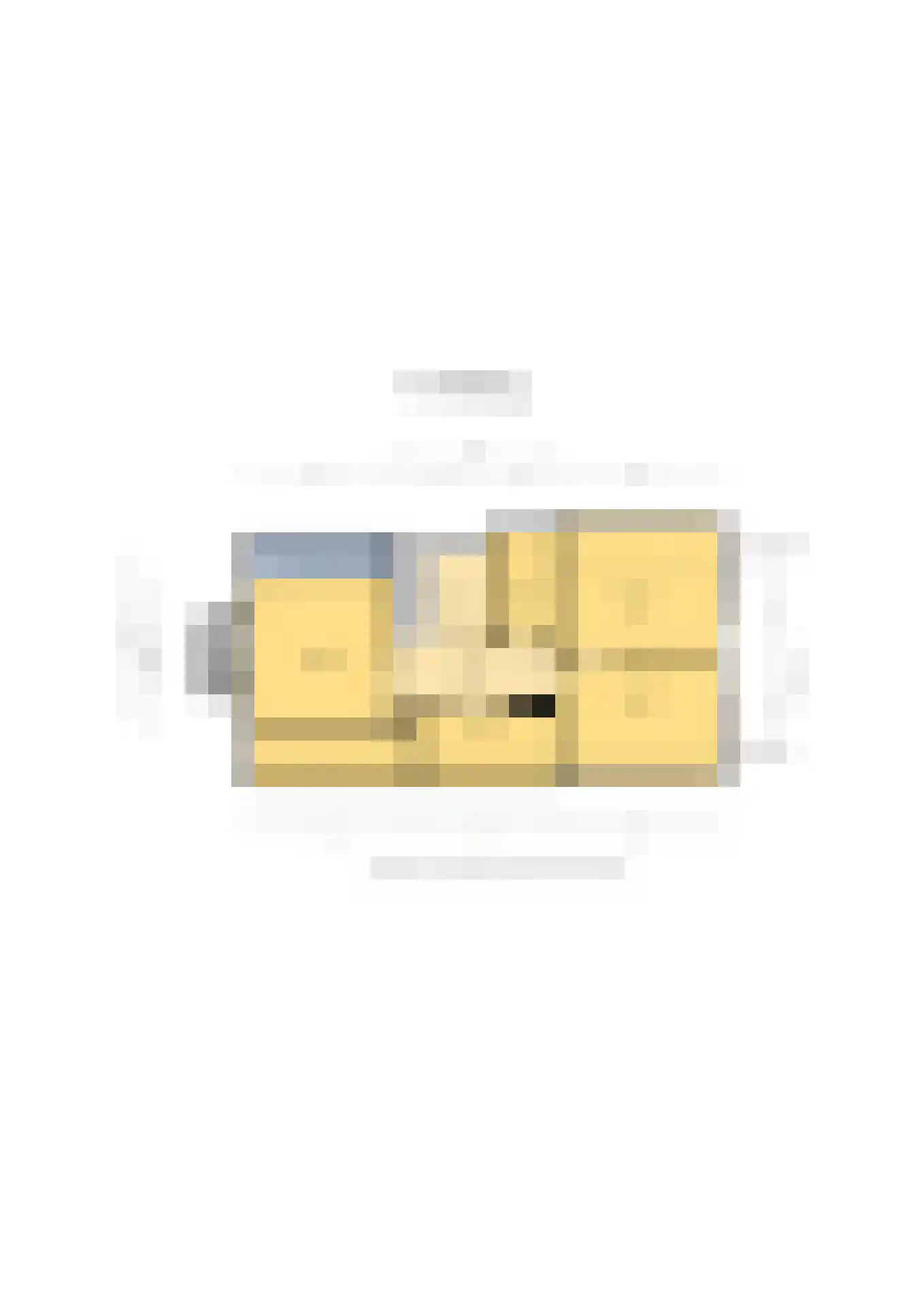 Wilhelminastraat 41 Vlagtwedde thumbnail 37