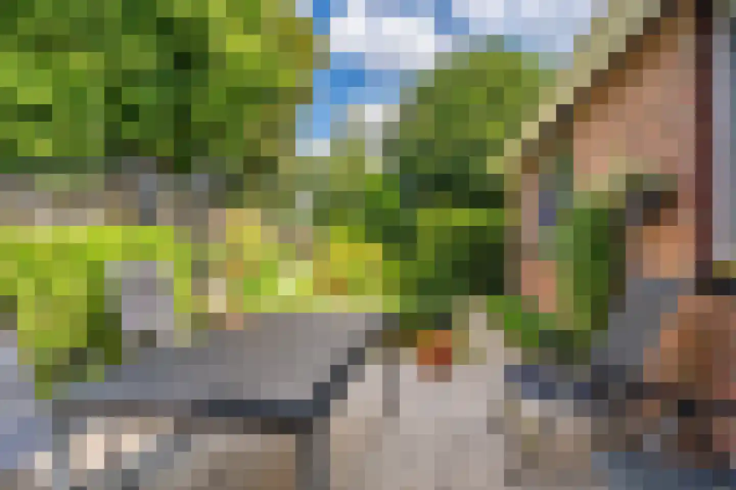 Wilhelminastraat 41 Vlagtwedde thumbnail 7
