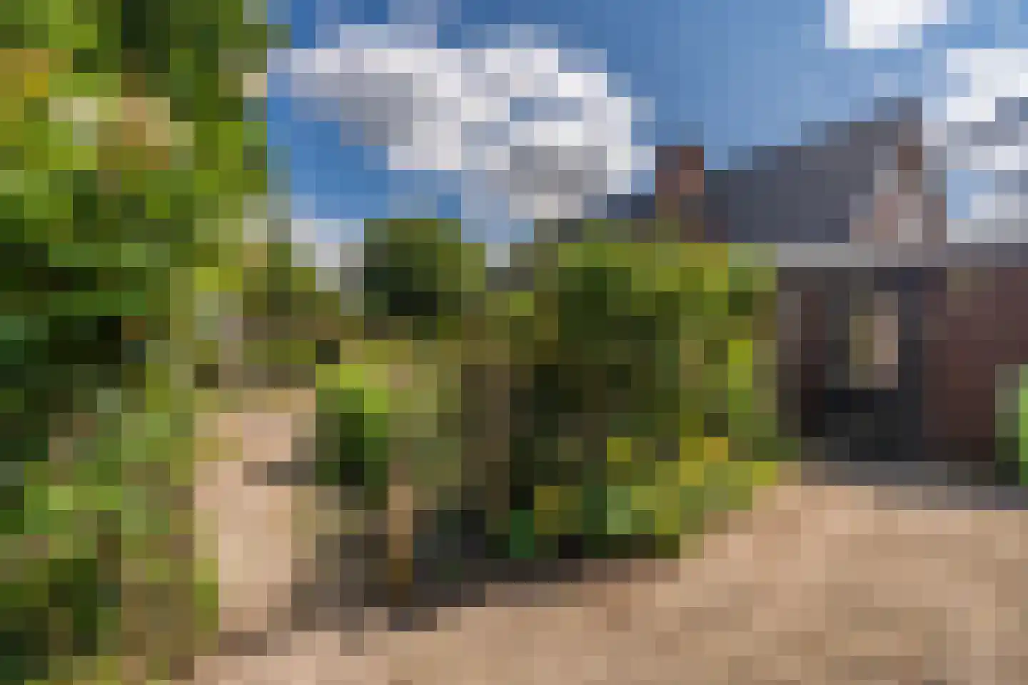 Wilhelminastraat 41 Vlagtwedde thumbnail 8