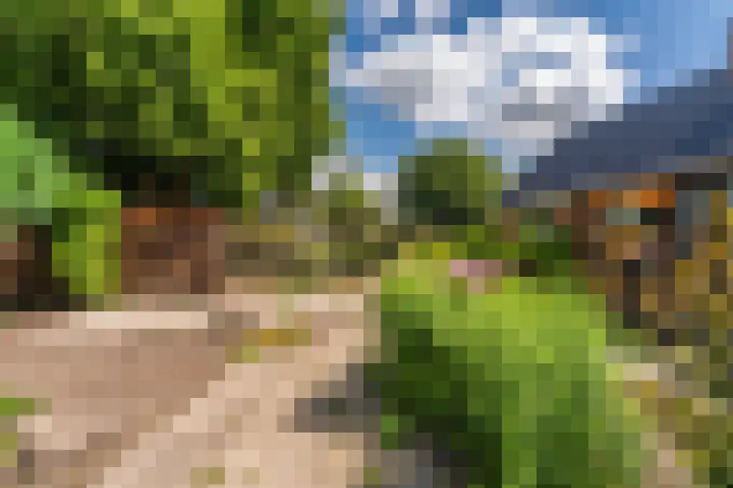 Wilhelminastraat 41 Vlagtwedde thumbnail 9