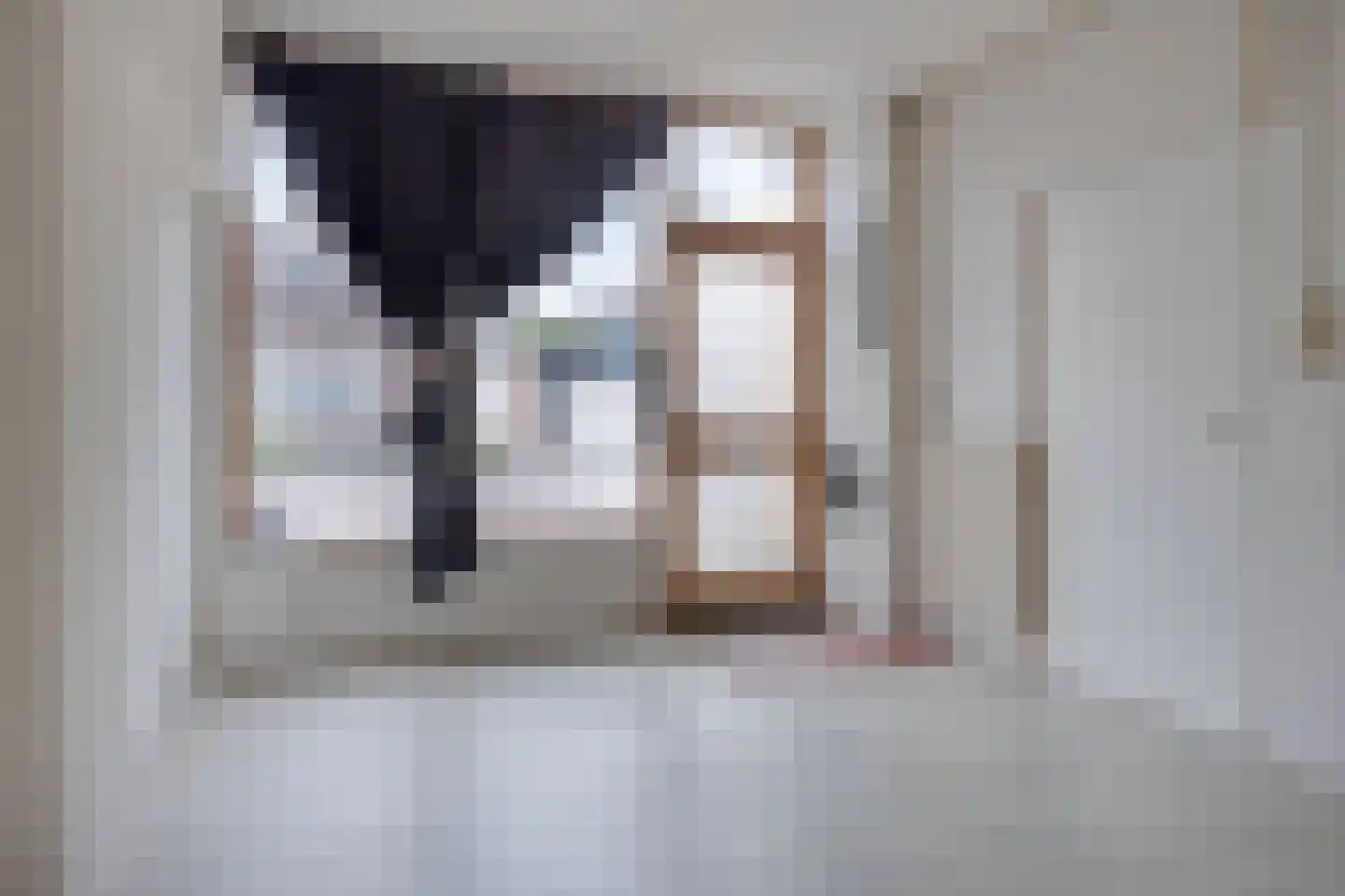 Wilhelminastraat 42 Axel thumbnail 19