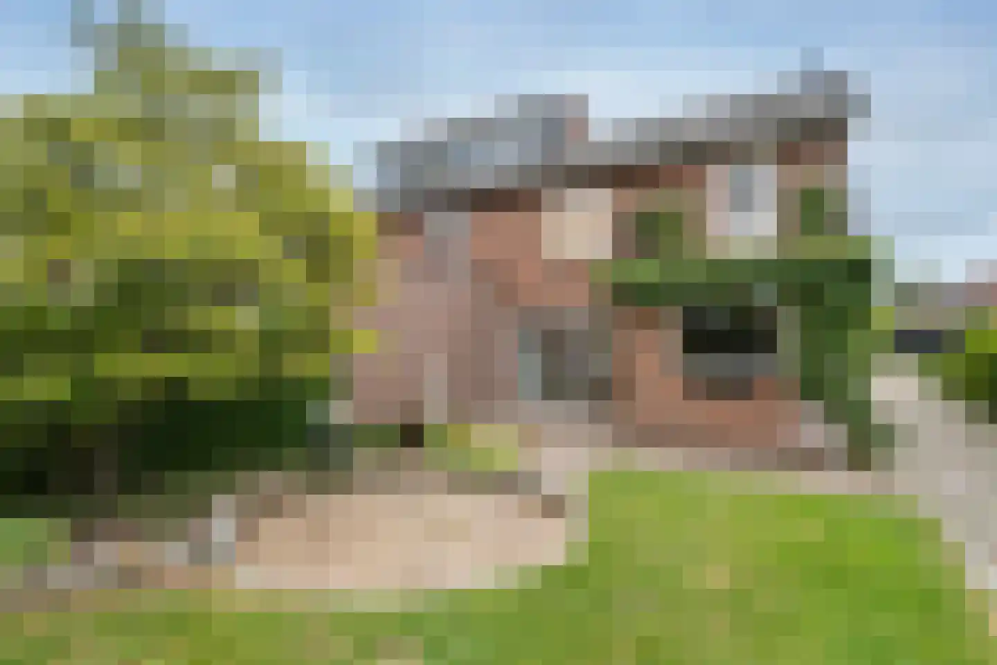 Wilhelminastraat 42 Barendrecht thumbnail 27