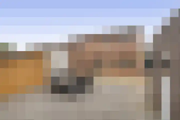 Wilhelminastraat 42 Belfeld thumbnail 18