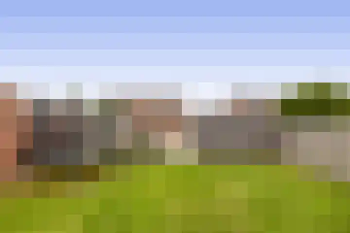 Wilhelminastraat 42 Belfeld thumbnail 23