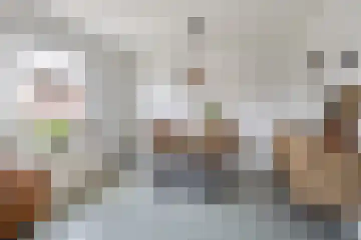 Wilhelminastraat 42 Belfeld thumbnail 6