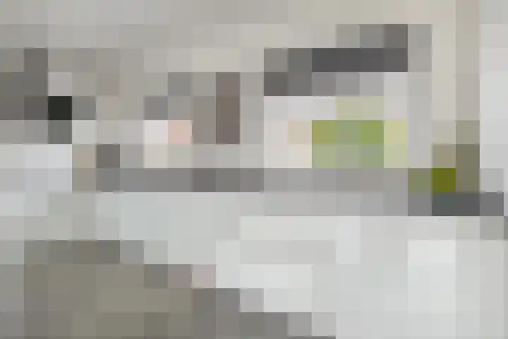 Wilhelminastraat 42 Belfeld thumbnail 7