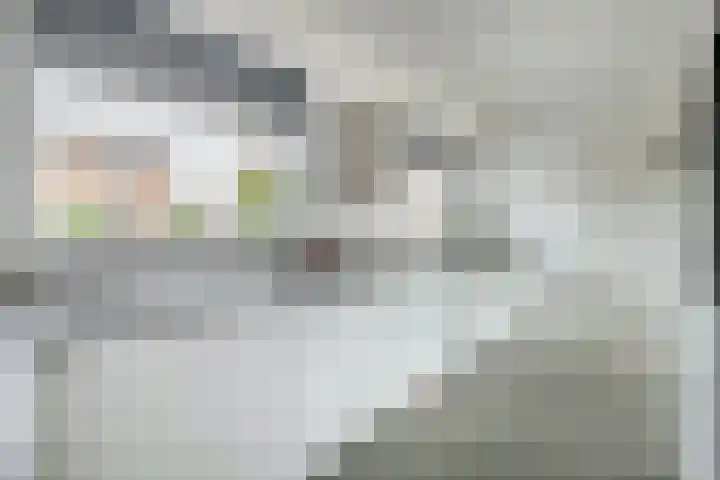 Wilhelminastraat 42 Belfeld thumbnail 9