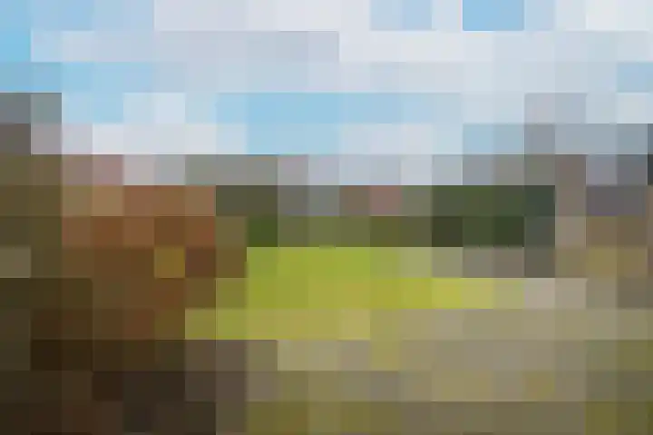 Wilhelminastraat 42 Dussen thumbnail 17