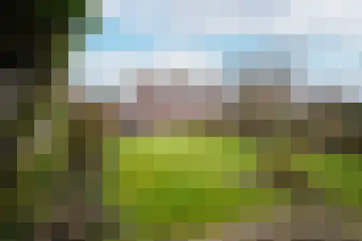 Wilhelminastraat 42 Dussen thumbnail 19
