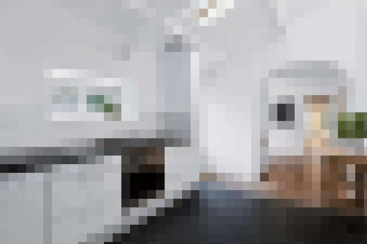 Wilhelminastraat 42 Epen thumbnail 12