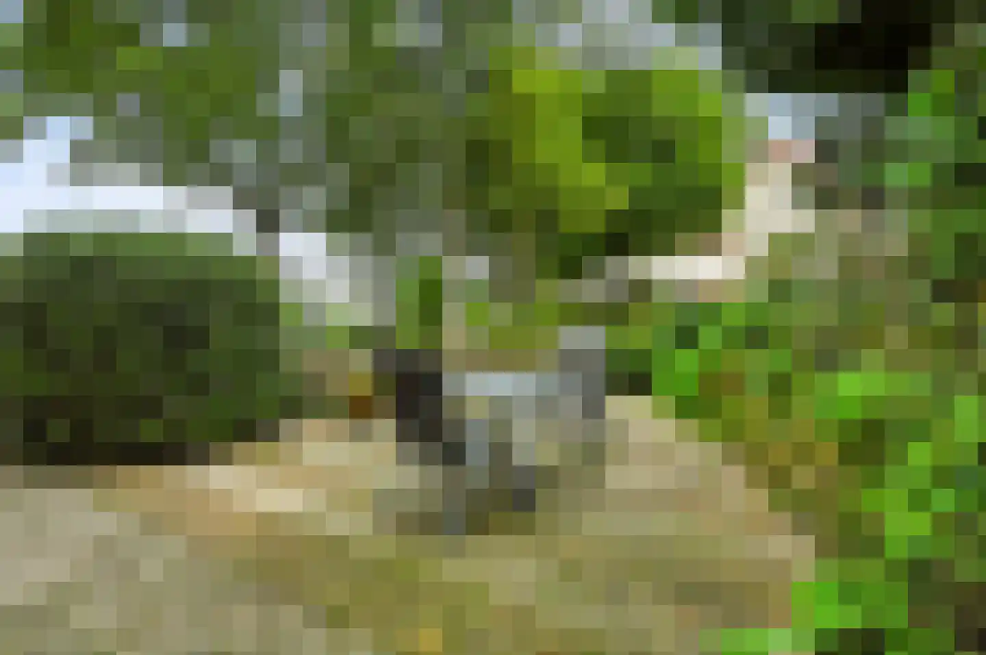 Wilhelminastraat 42 Epen thumbnail 34
