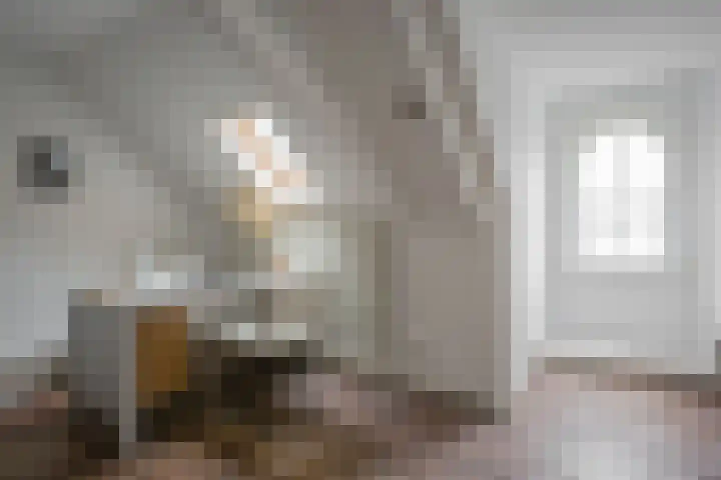 Wilhelminastraat 42 Haarlem thumbnail 19