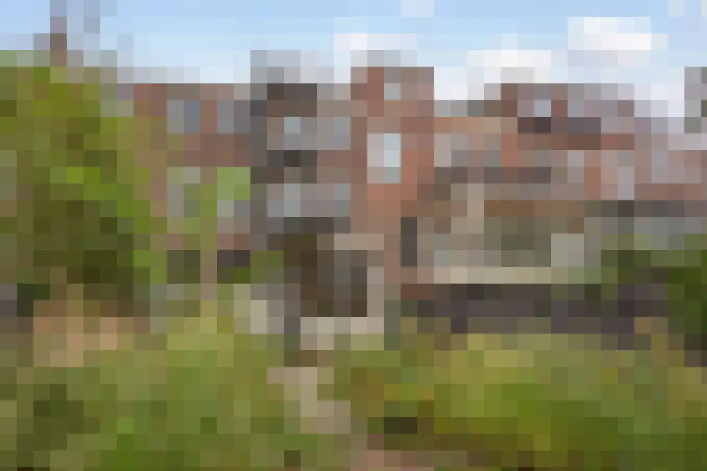 Wilhelminastraat 42 Haarlem thumbnail 21