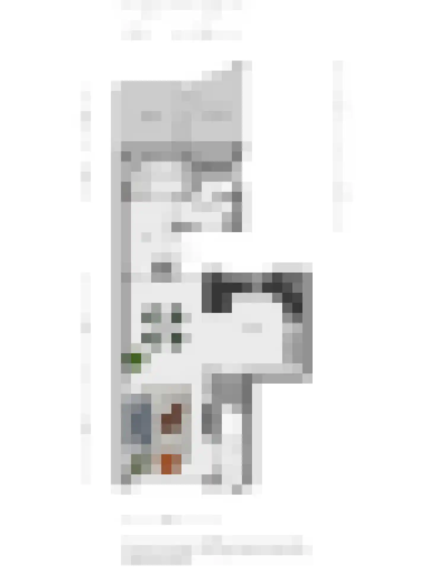 Wilhelminastraat 43 Nijverdal thumbnail 31