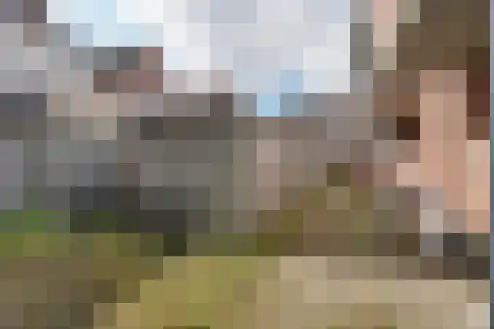 Wilhelminastraat 43 Vlissingen thumbnail 19
