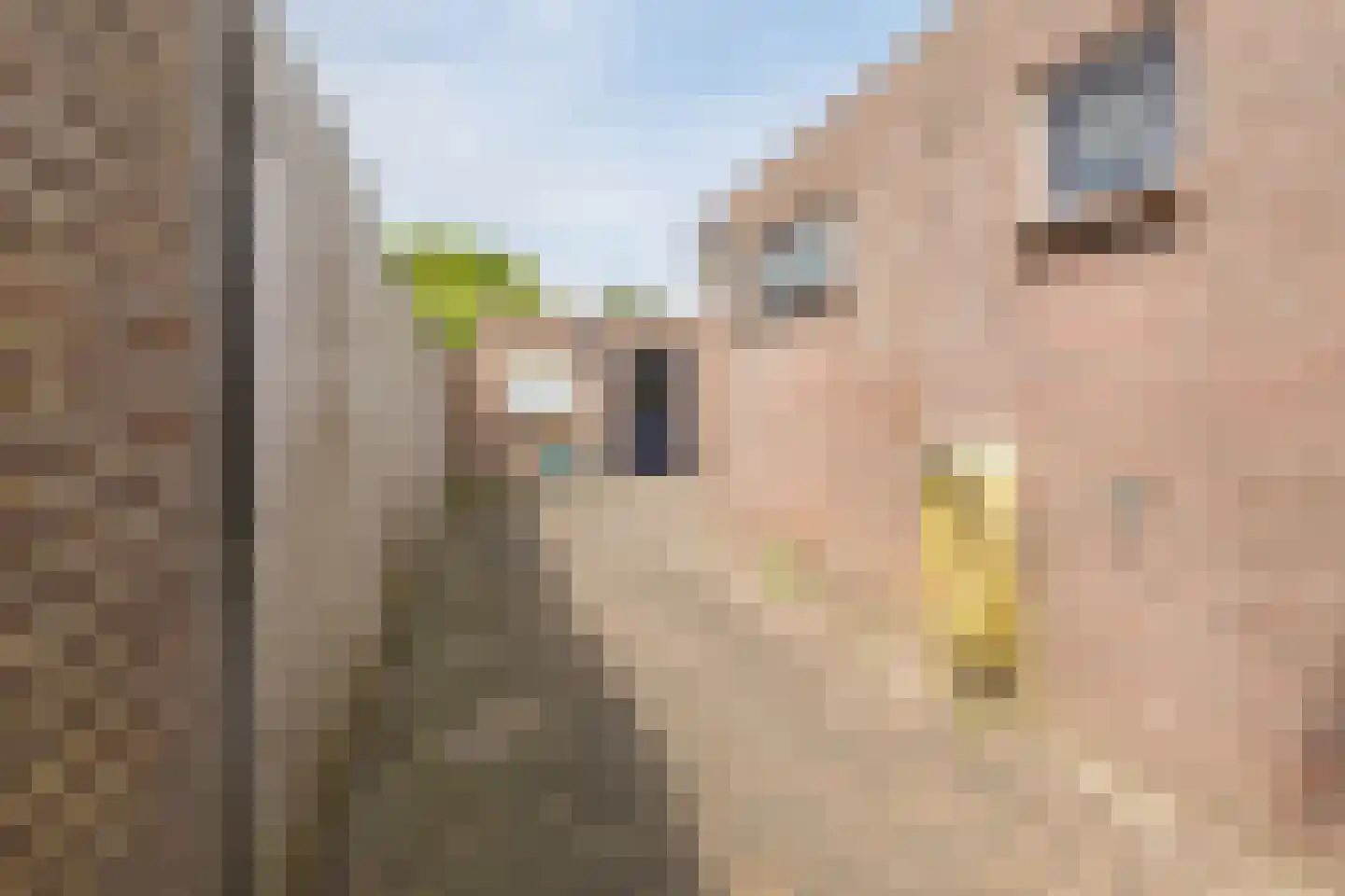 Wilhelminastraat 44 Dongen thumbnail 17