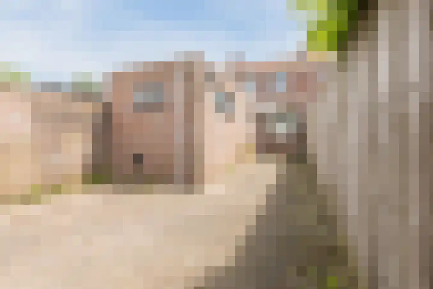 Wilhelminastraat 44 Dongen thumbnail 20