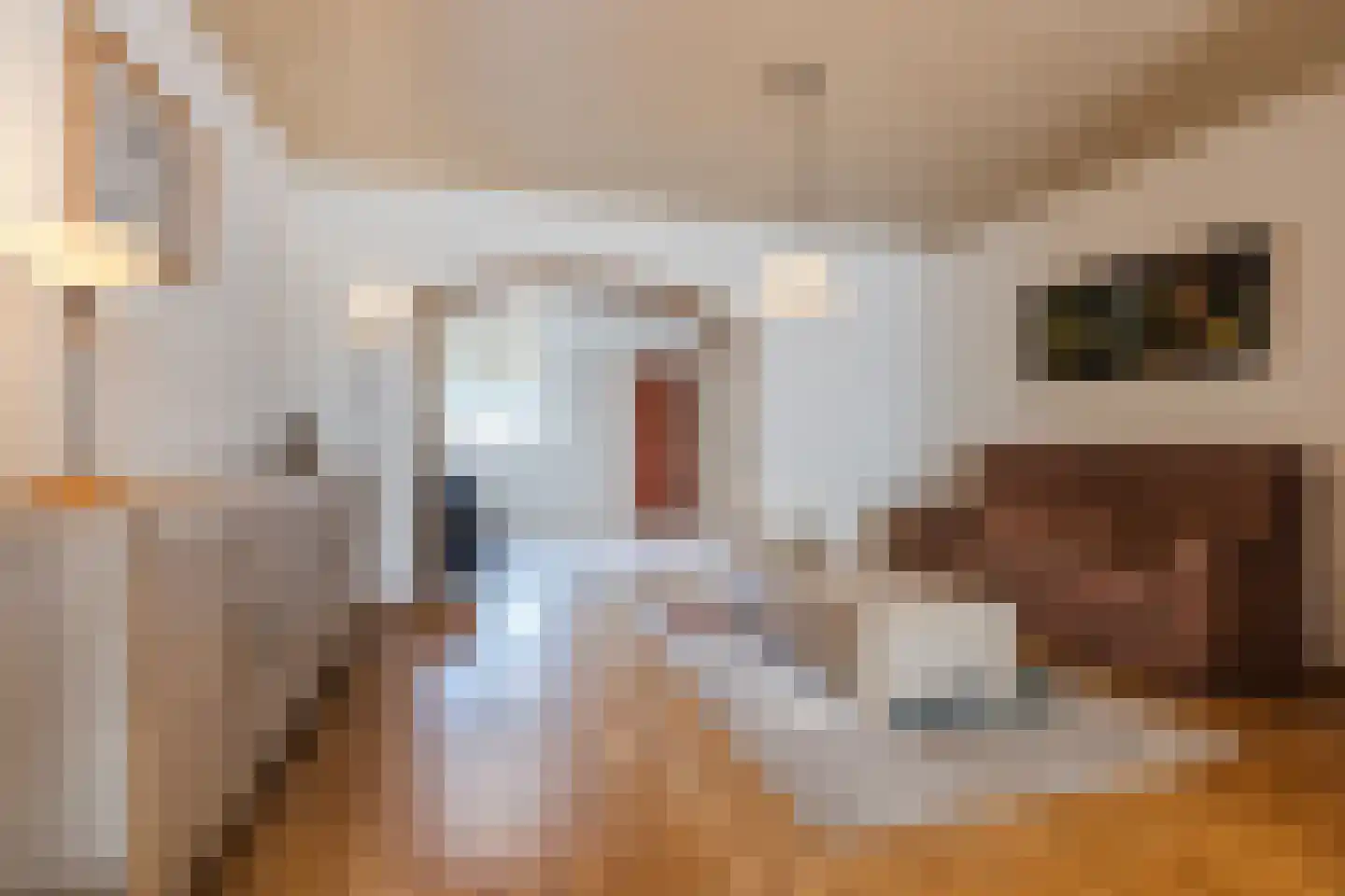 Wilhelminastraat 44 Dongen thumbnail 6