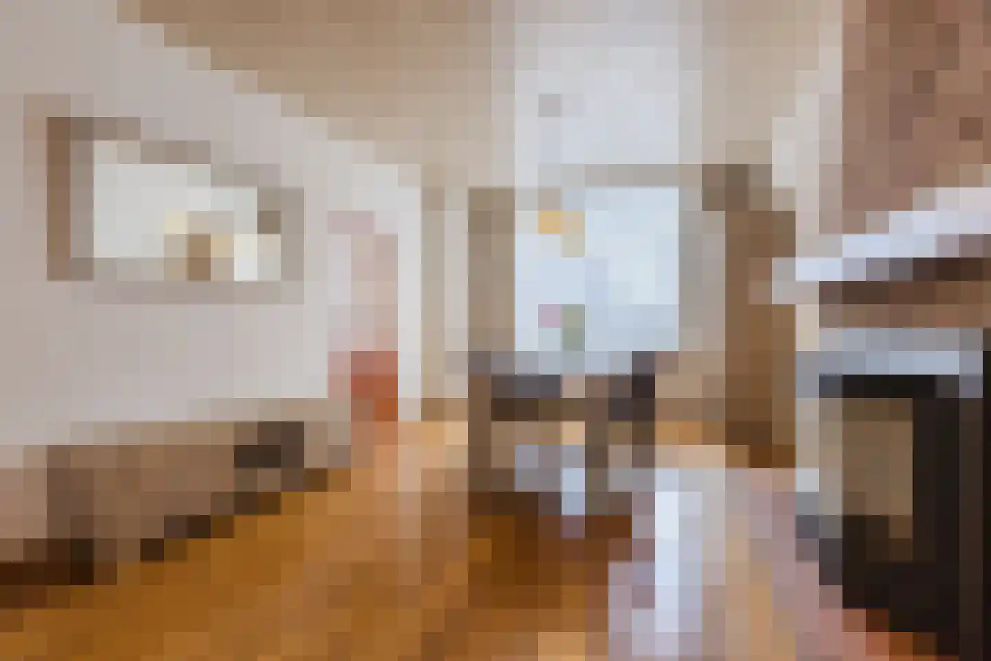Wilhelminastraat 44 Dongen thumbnail 8