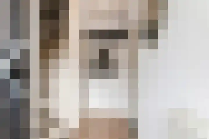 Wilhelminastraat 44 Druten thumbnail 11