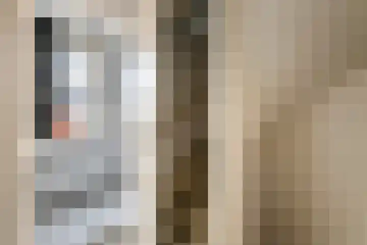 Wilhelminastraat 44 Druten thumbnail 19