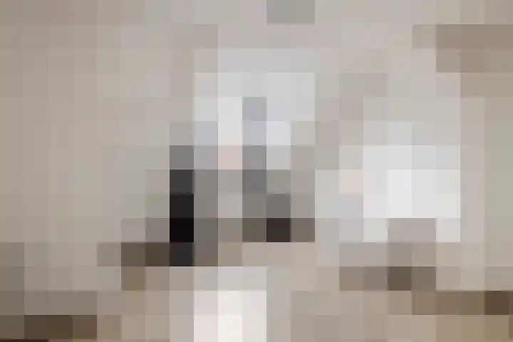 Wilhelminastraat 44 Druten thumbnail 21