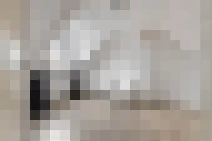 Wilhelminastraat 44 Druten thumbnail 22