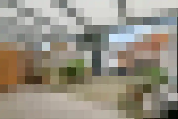 Wilhelminastraat 44 Druten thumbnail 26