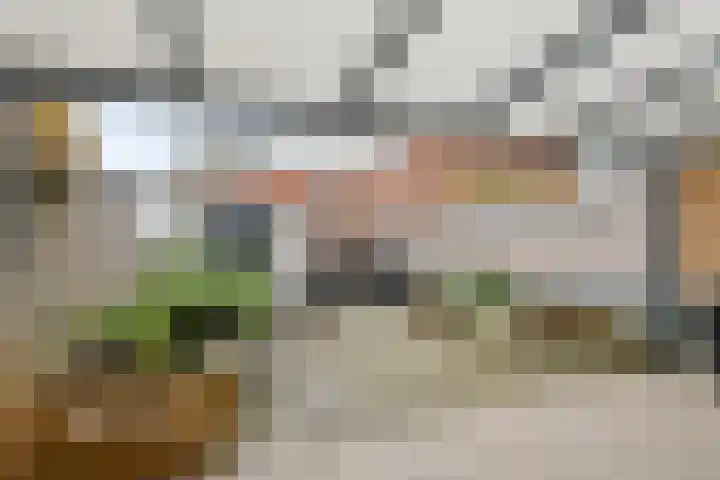 Wilhelminastraat 44 Druten thumbnail 27
