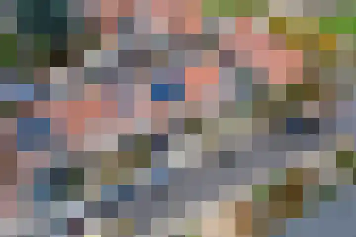 Wilhelminastraat 44 Druten thumbnail 29