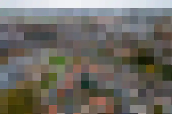 Wilhelminastraat 44 Druten thumbnail 30