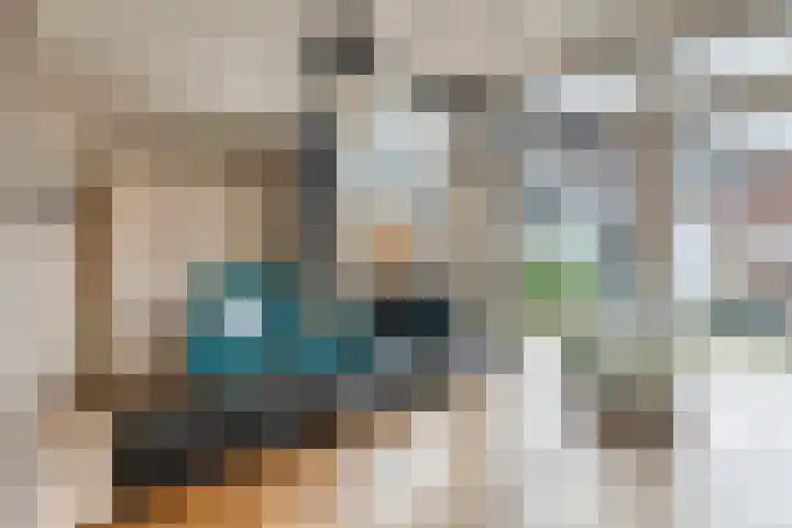 Wilhelminastraat 44 Druten thumbnail 7